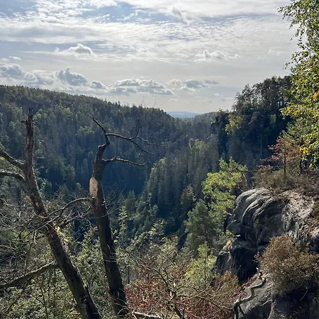 Neu Grosse Und Gemuetliche In I Kamin I Ruhige Sonnenterrasse I Parkplatz Kostenfrei Апартаменты Дрезден
