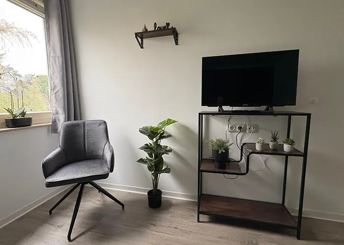 Neu Große Und Gemütliche In I Kamin I Ruhige Sonnenterrasse I Parkplatz Kostenfrei * Dresde