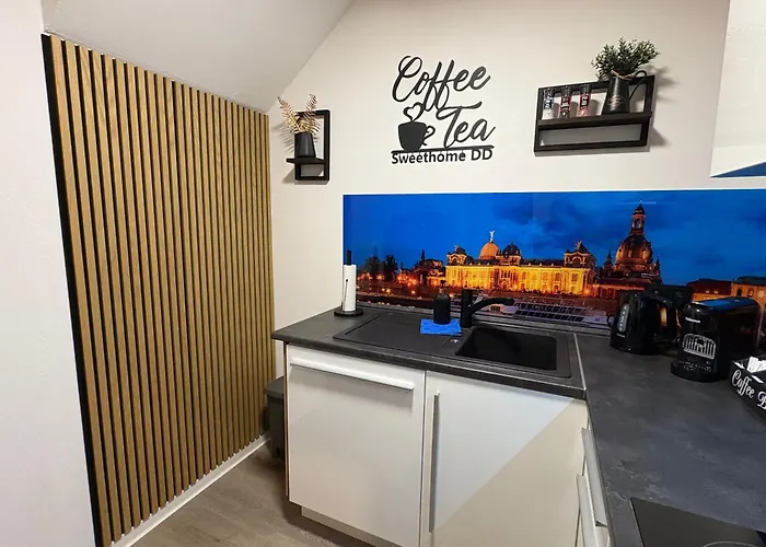 Apartment Neu Grosse Und Gemuetliche In I Kamin I Ruhige Sonnenterrasse I Parkplatz Kostenfrei Dresden