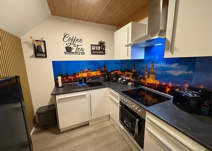 Neu Große Und Gemütliche In I Kamin I Ruhige Sonnenterrasse I Parkplatz Kostenfrei Apartamento Dresde