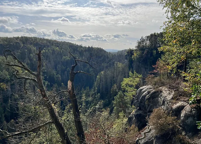 Neu Grosse Und Gemuetliche In I Kamin I Ruhige Sonnenterrasse I Parkplatz Kostenfrei Apartman Drezda